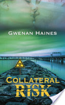 Collateral Risk Book Cover